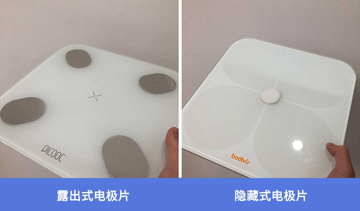 揭晓！体脂秤真是智商税？怎么选看这一篇就够了!麻将胡了试玩模拟器2023年6款体脂秤评测重磅(图8)