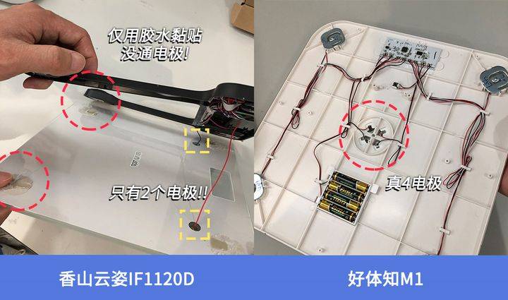 揭晓！体脂秤真是智商税？怎么选看这一篇就够了!麻将胡了试玩模拟器2023年6款体脂秤评测重磅(图14)