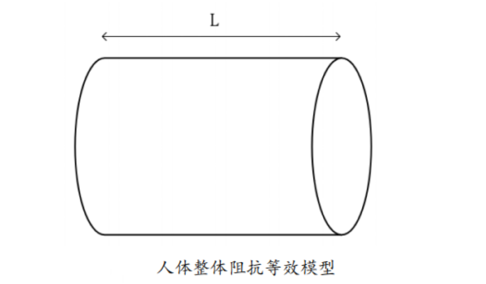 体脂的？数据准确吗？一起来了解PG麻将胡了2体脂秤是怎么测出(图5)