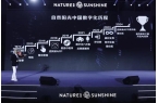 场哪家直企的策略更具特色？PG麻将胡了2